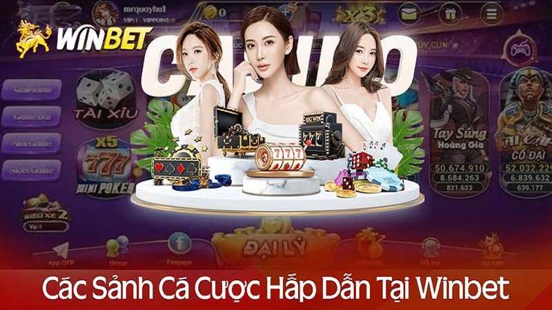 nha-cai-winbet-san-pham-ca-cuoc